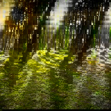 Hub Page Nature Hub Image