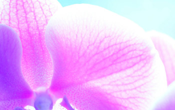 Insights Imagery New 0006 Irina Beletskaya Eoclwmi050y Unsplash