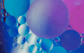 Insights Imagery New 0025 Moritz Kindler R5legkvwr K Unsplash