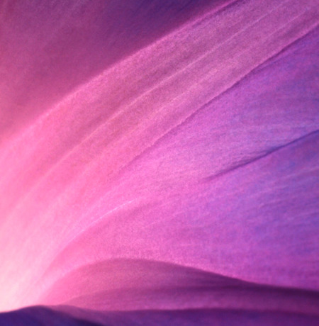 Insights Imagery 0040