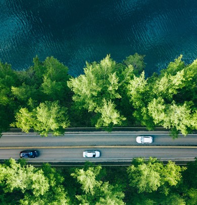 Local Inv Imagery (1)