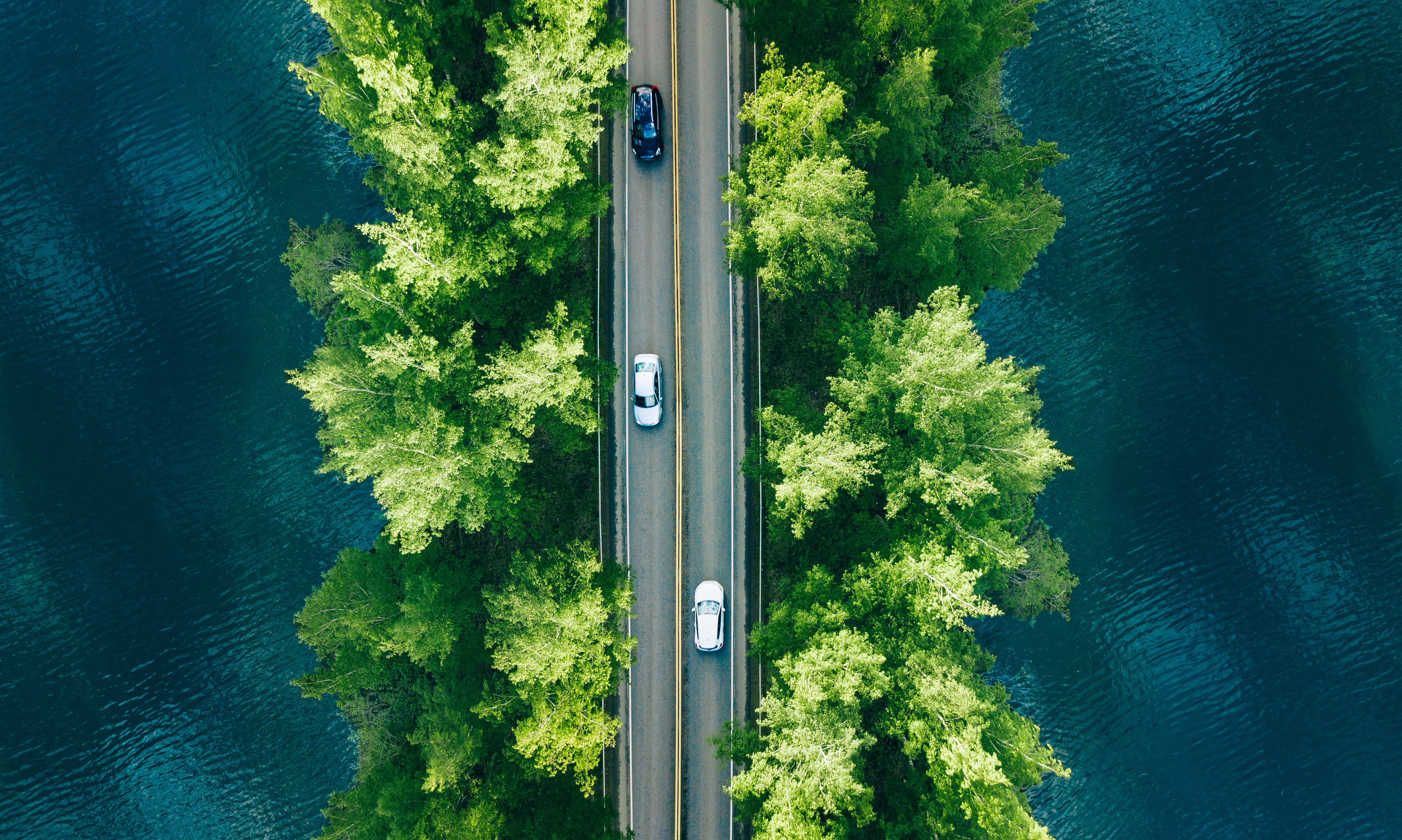 Aerial image of a bridge with trees either side and over a body of water with a few cars on the bridge