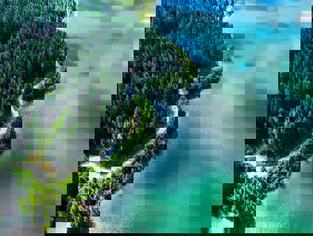 Aerial View Of A Forest Next To A Lake